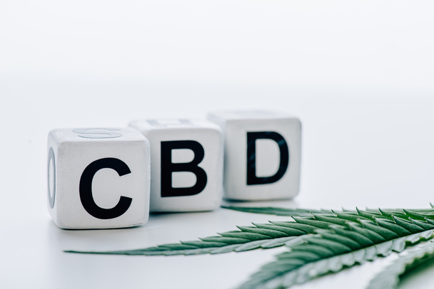 how to use cbd intimacy oil
